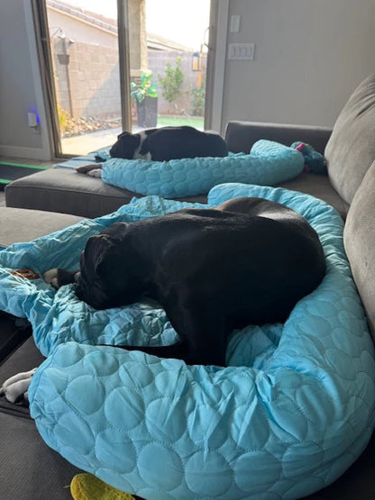 HeatRelief™ Cooling Dog Bed
